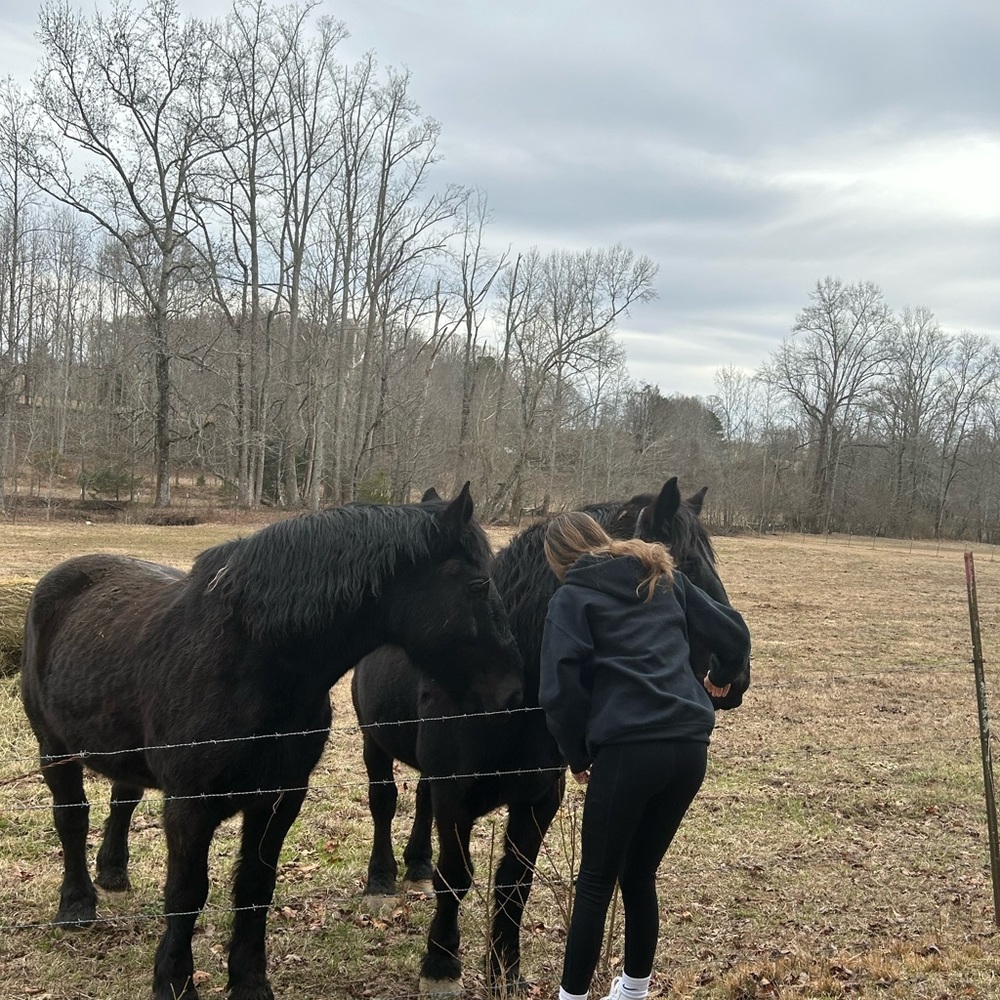 Meet your Posher, Cameron